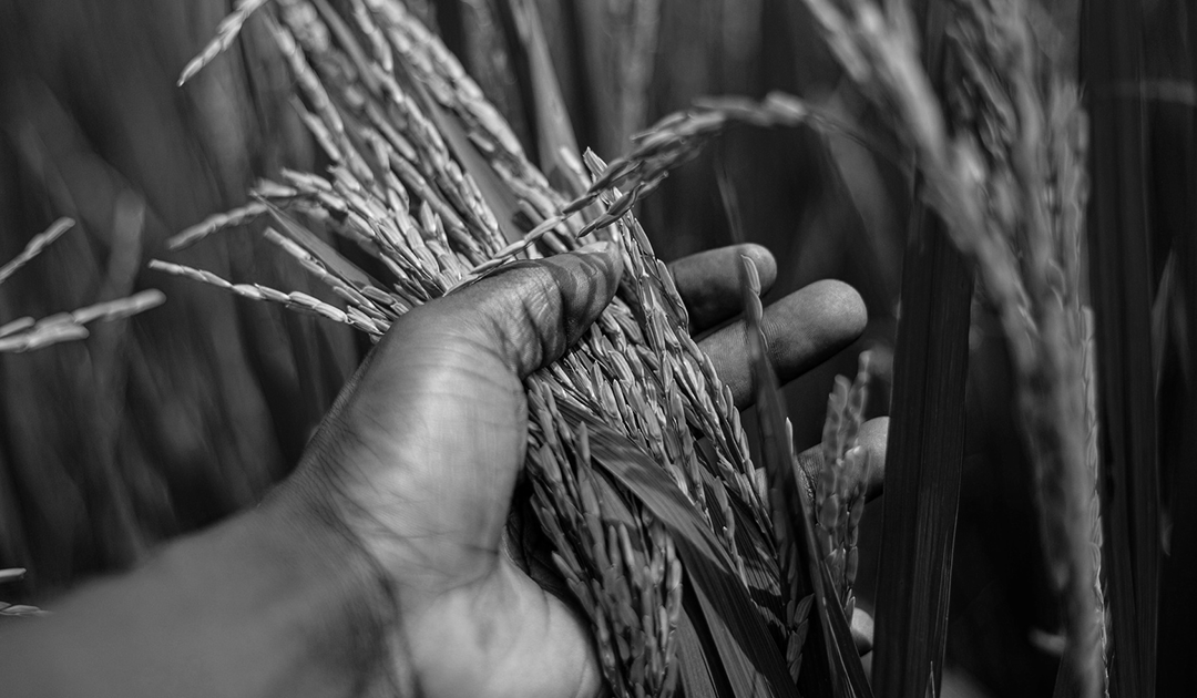 Effortless Farmworker Staffing