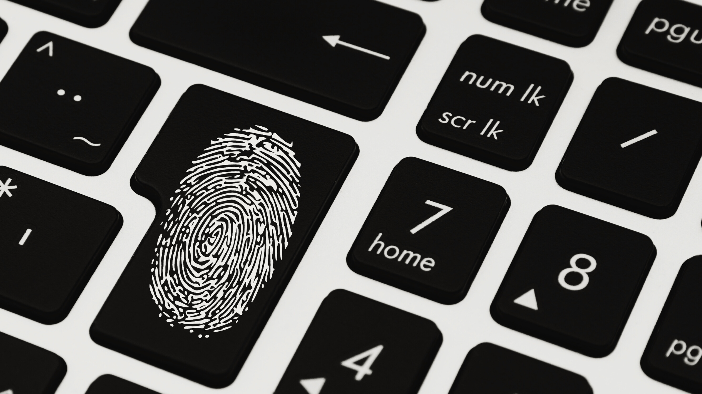 Get a Personalised Security Assessment Today! (1) business cybersecurity, cybersecurity team, IT security, cybersecurity protection, technology security, business technology, data security, network security, working on laptops, business meeting technology, professional working, modern office technology, IT infrastructure, secure network, cyber attack prevention, digital security.